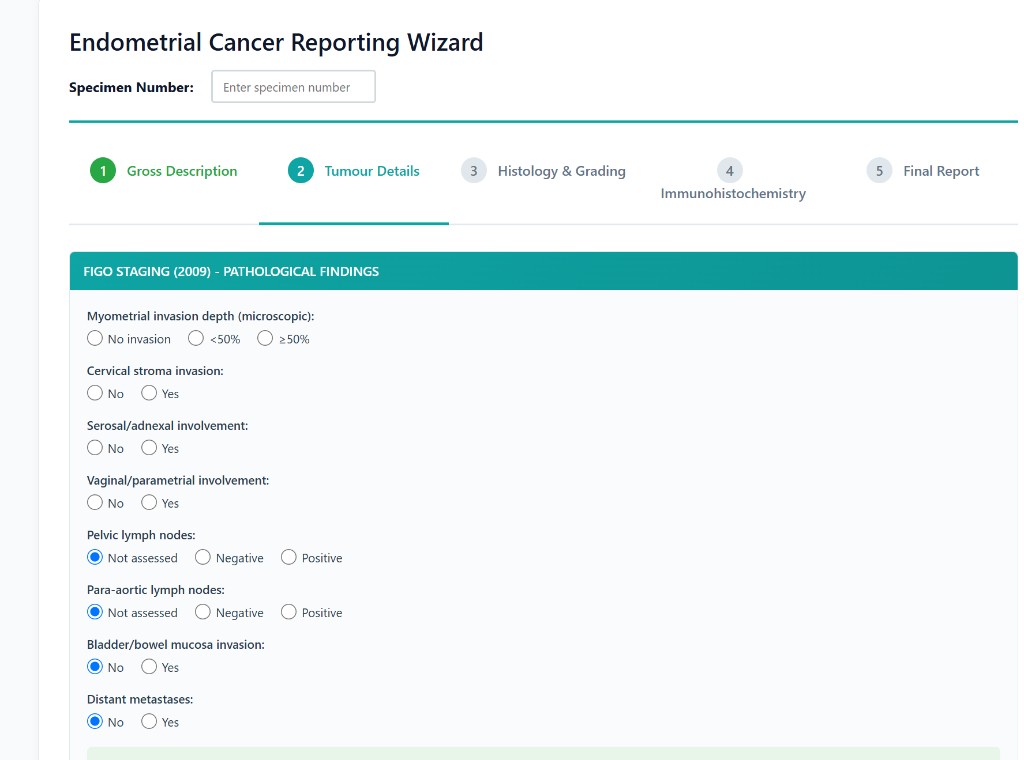 Endometrial Cancer Reporting Wizard — FIGO staging step